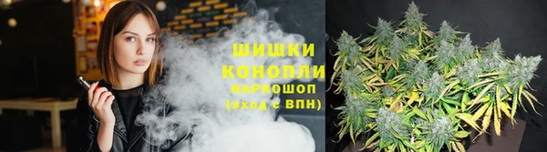 ПСИЛОЦИБИНОВЫЕ ГРИБЫ Абаза