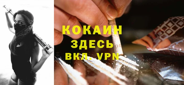 ПСИЛОЦИБИНОВЫЕ ГРИБЫ Абаза