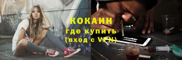 ПСИЛОЦИБИНОВЫЕ ГРИБЫ Абаза