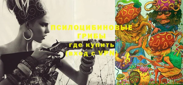 2c-b Костерёво