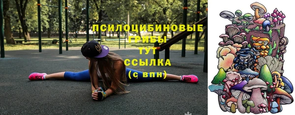 ПСИЛОЦИБИНОВЫЕ ГРИБЫ Абаза