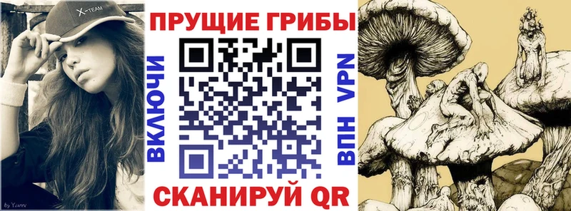 Галлюциногенные грибы мицелий  магазин  наркотиков  Истра 