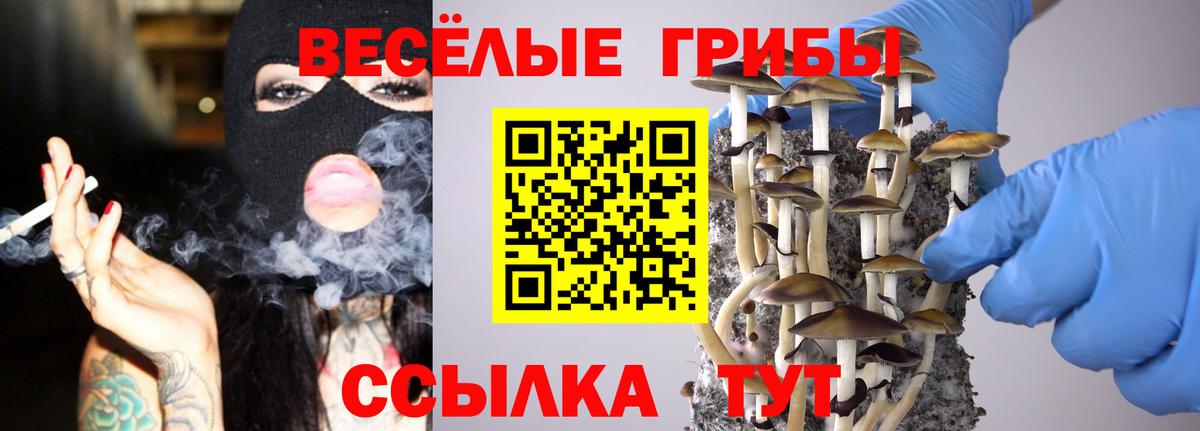 Галлюциногенные грибы Magic Shrooms  Вход с VPN  Истра 